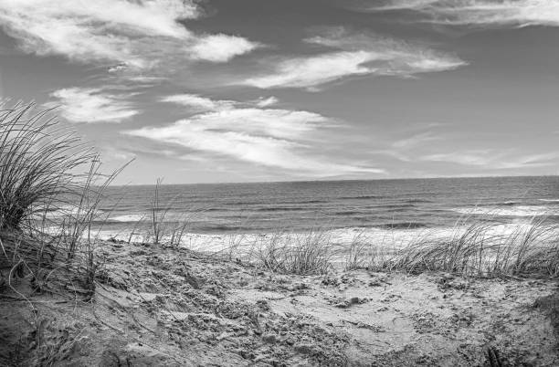 istock Dunes and beach in a black and white shot 1584552324