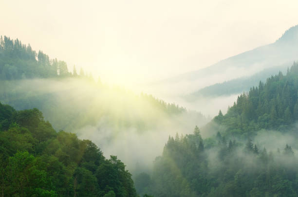Mountain aerial morning landscape.