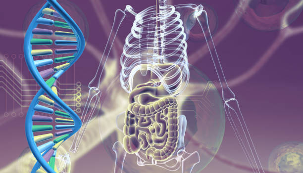 istock DNA with Human body anatomy on scientific  background 1584563245