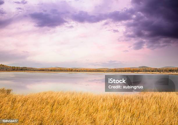 Wetlands Under The Sunset Stock Photo - Download Image Now - Autumn, Beauty In Nature, Colors