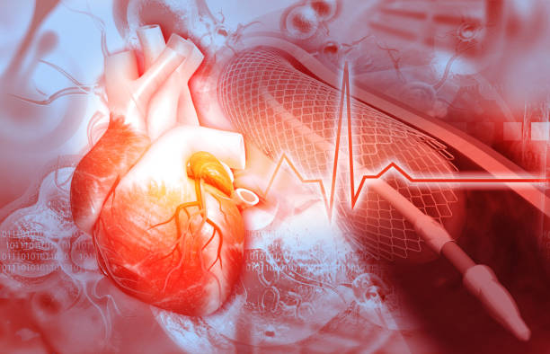 istock Human heart angioplasty 1584573460