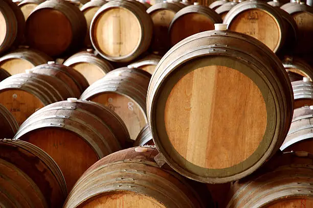 New blank wine barrrels in winery cellar