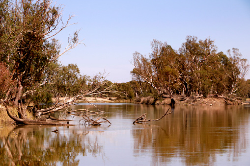 A view of the peaceful river Murray in South Australia