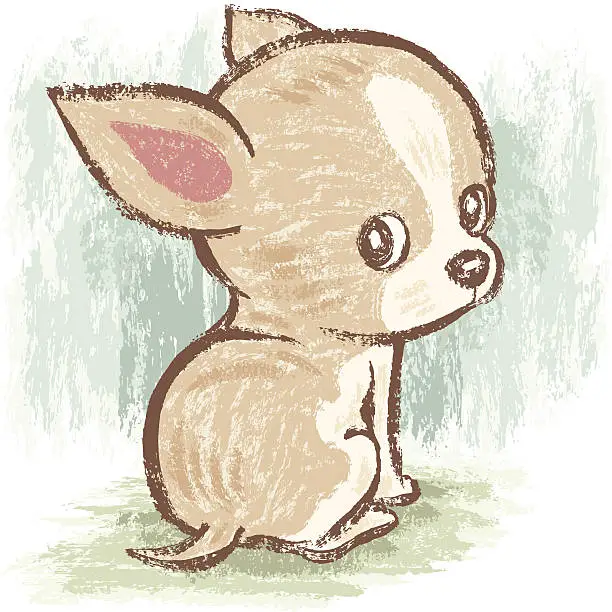 Vector illustration of Chihuahua look back