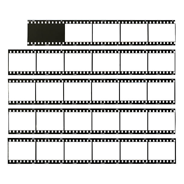 film 35mm format film strips cut for test, isolated on white contact sheet stock pictures, royalty-free photos & images