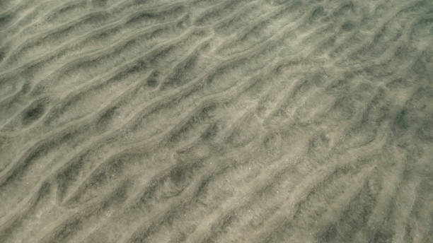 Sandy bottom covered with sand hills,  Natural background from the underwater depth, Red sea, Egypt