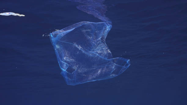istock Disposable blue plastic bag floats under surface in blue water. Plastic bag thrown into sea drifts under surface of blue water in morning time, Red sea, Egyp 1584612603