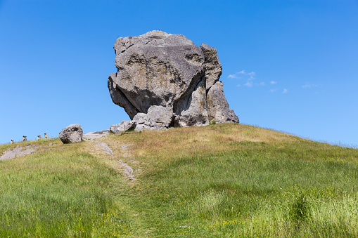Single sandstone rock, as the erosive remains of the ancient sea reef, on the hill top on a background of clear sky in summer. Geological monument of nature, Pidkamin village, Ukraine