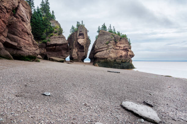 istock Bay of Fundy 1584633584