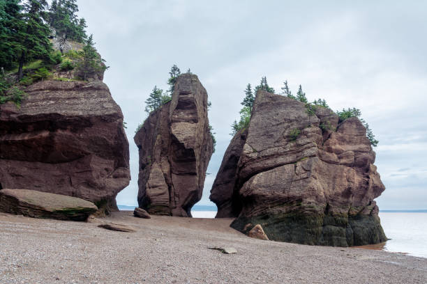 istock Bay of Fundy 1584634119