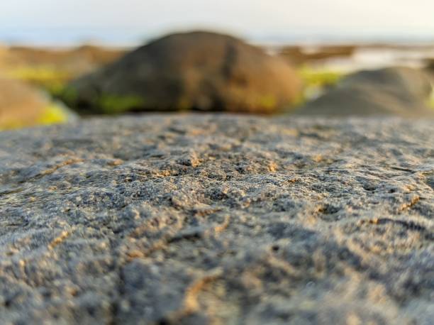 istock Stone texture surface by the seashore with blurred nature background 1584637954