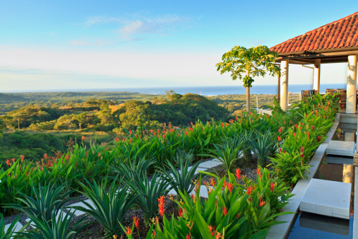 Villa tropical garden and coconut tree overlooking Tamarindo and Pacific Ocean in Guanacaste, Costa Rica