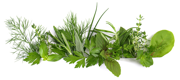 Fresh Herbs - Panorama on white Background