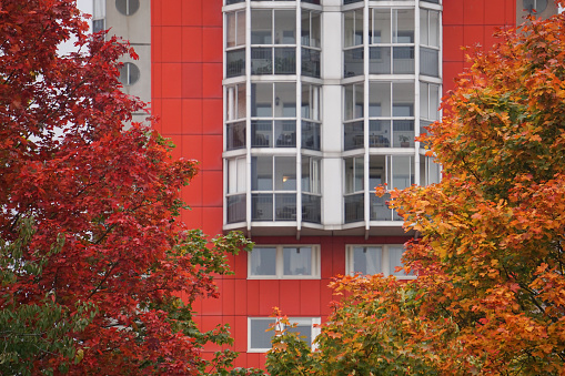Autumn trees in front of a building