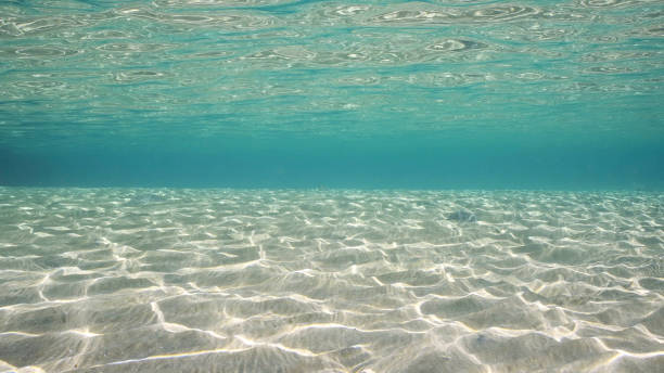 istock Sandy shallow water in sunburst and glare on seabed sand. Sunlight passes through surface of turquoise water and glares on sandy bottom in shallow water on bright sunny day, Red sea, Egypt 1584715301