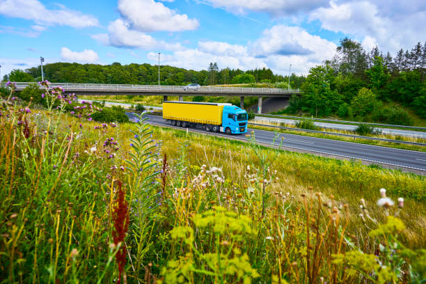 istock Highway and wildlife diversity 1584722426