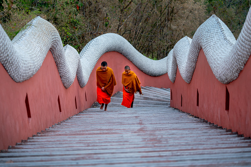 Two young monks walk on stair of the temple up to chapel or church to do some activity in early morning.