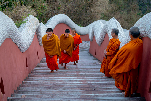 Senior monks stand and look to young monks during they walk on stair of the temple up to chapel or church to do some activity in early morning.