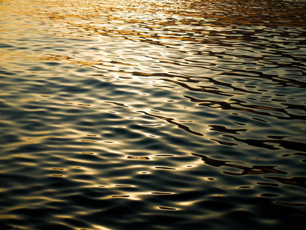 istock Beautiful sea with warm sunlight reflections during the sunset. 1584735364