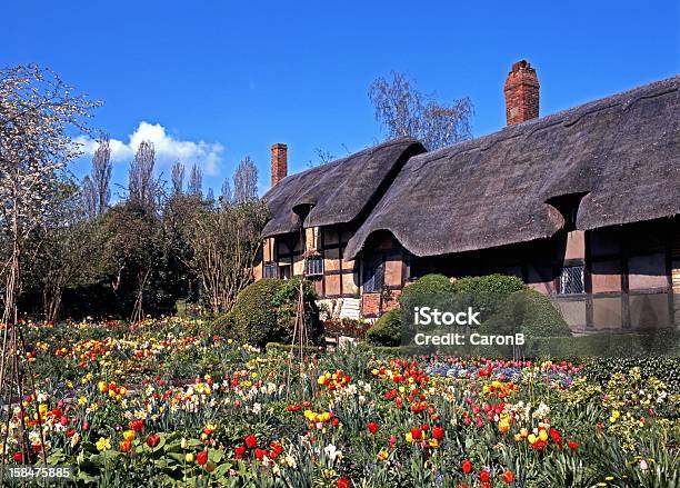 Cottage Di Paglia Shottery Inghilterra - Fotografie stock e altre immagini di Casetta di campagna - Casetta di campagna, Tetto di paglia, Aiuola