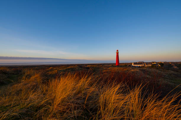 Schiermonnikoog panoramic view in the dunes with the lighthouse during sunset at the wadden island during a beautiful winter day. Schiermonnikoog is part of the Frisian Wadden Islands and is known for its beautiful natural scenery, including sandy beaches, rolling dunes, and lush wetlands.