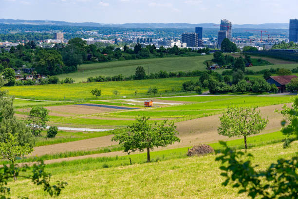 istock Vegetable fields with apple trees and chicken house trailer at Swiss town. 1584768334