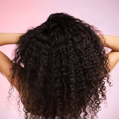 Hair, beauty and back of person with hairstyle transformation and curly texture. Model, salon treatment and haircut shine in a studio with pink background and cosmetics with keratin and growth care