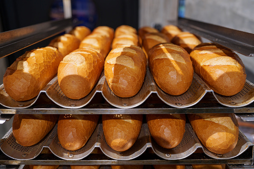 A close-up shot of freshly baked crispy baguette bread loaves placed on a cooling rack in a bakery kitchen