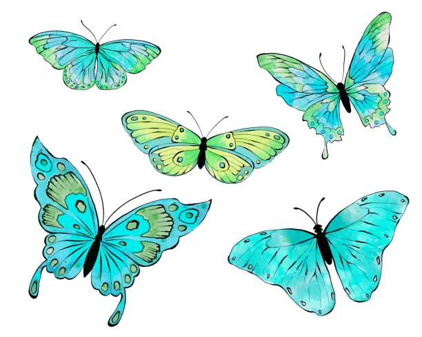 istock Watercolor blue butterflies. Hand drawn illustration, isolated on white background. 1584795467