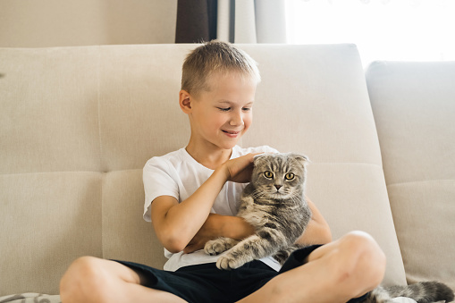 Child strokes a cat. Caucasian boy hugs a cute pet while sitting on a white sofa in a sunny living room at home. Kid is playing with a pet. Children and pets