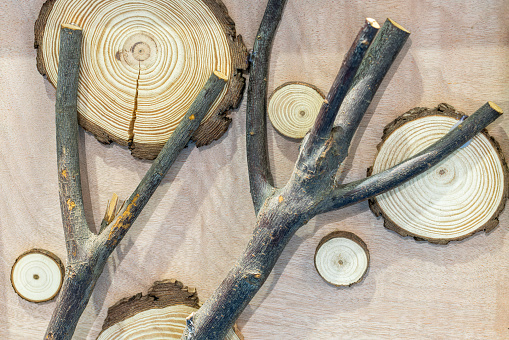 wooden decorations：Saw cut wood, annual rings.