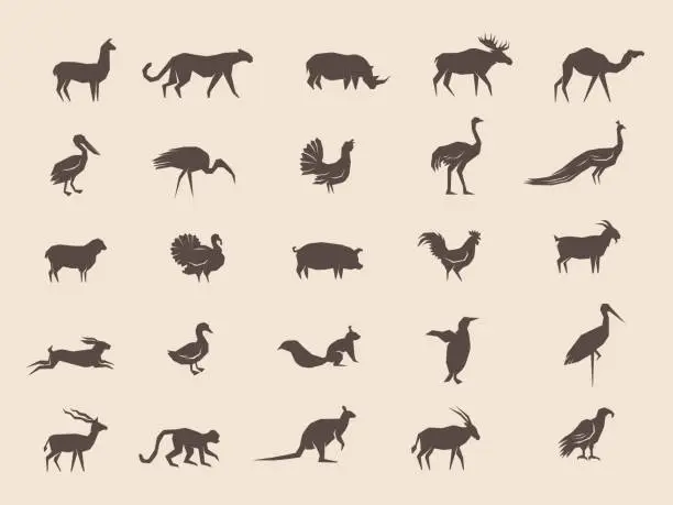 Vector illustration of Animals silhouettes. Domestic and wild different stylized shapes of animals recent vector illustrations collection