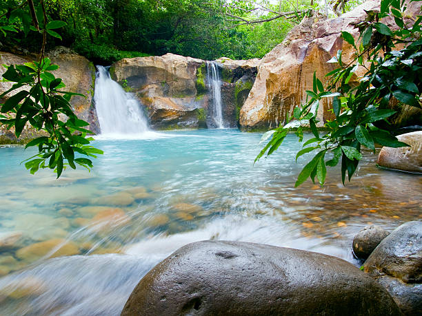 cascata no rincónpuertorico.kgm de la vieja parque nacional de - natural phenomenon waterfall rock tranquil scene imagens e fotografias de stock