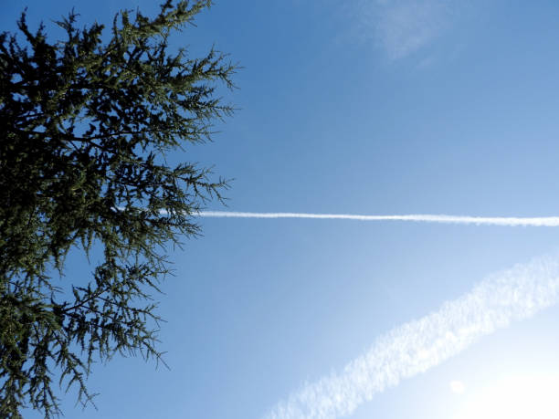 istock Line left behind by an airplane flying in a clear blue sky 1584833101