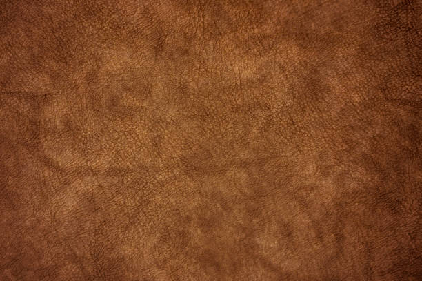 istock Dark brown and old vintage leather texture can be use as background 1584842316