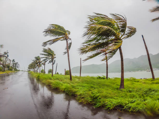 Tropical storm, heavy rain and high winds in tropical climates Tropical storm, heavy rain and high winds in tropical climates. extreme weather stock pictures, royalty-free photos & images