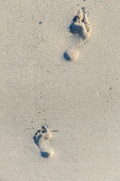 footsteps of barefoot adult in the sandy beach