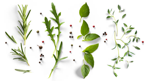 istock fresh mediterranean herb and spices on white background. Food design element 1584880993