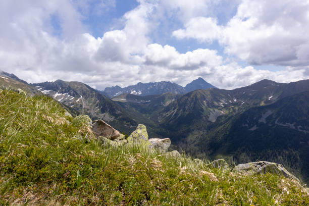 istock A view of the mountains from the trail. 1584939899