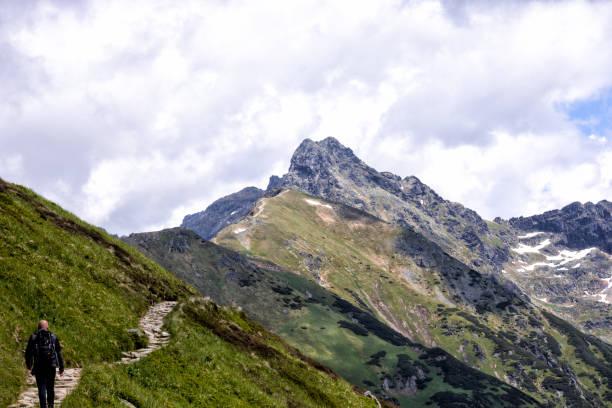 istock A man stands on a path in a forest with a mountain in the background. 1584939901