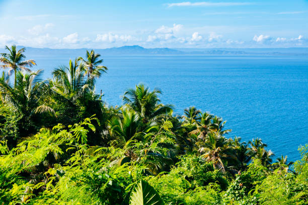 istock High vantage point of tropical greenery and ocean view. 1584960148