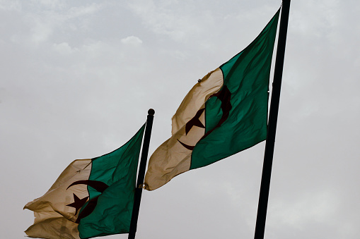 Algerian flag in the wind