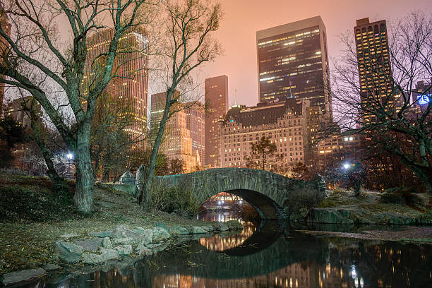 istock Gapstow bridge Central Park, New York City 158497929