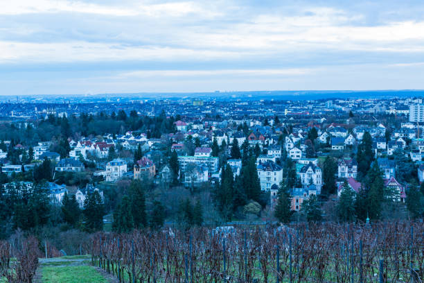 das stadtgebiet von den bergen des nerobergs in wiesbaden aus gesehen - neroberg stock-fotos und bilder