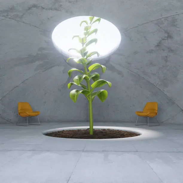 Plant growing through the ceiling hole. Aspirations and mindset concept. This is a 3d render illustration