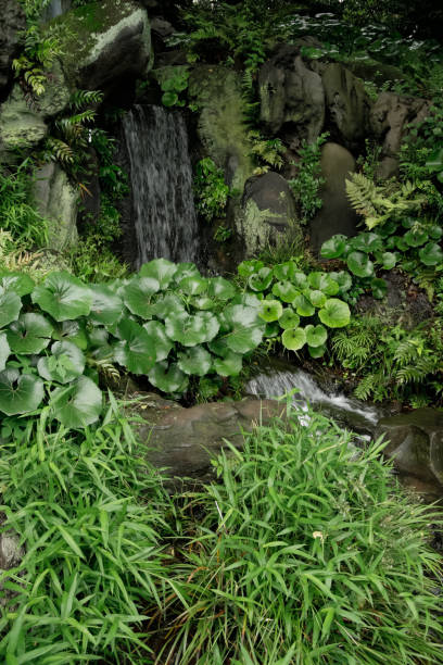 istock Greenery in the Urban Park, Tokyo 1584992875