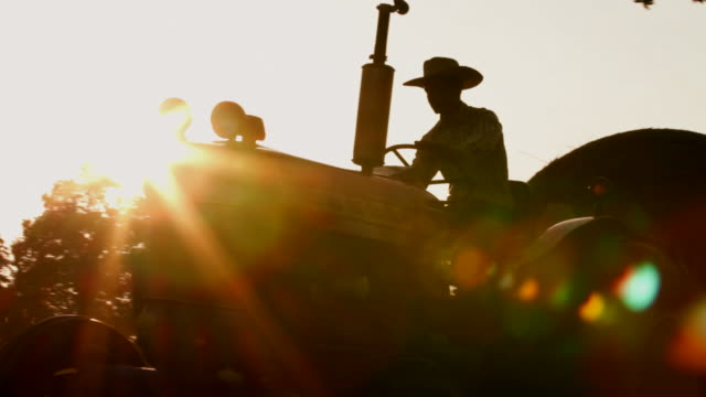 Cowboy drives tractor at sunrise