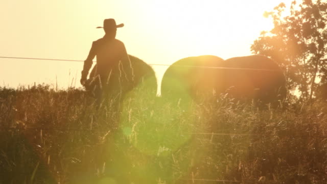 Cowboy rancher walks across field at sunrise