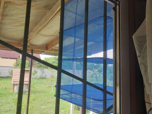 istock Nets for drying fish, mushrooms and fruits 1585011275