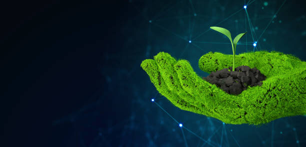 istock Hands holding seedling. Ecology concept. Environment Concept. 3d illustration 1585015709